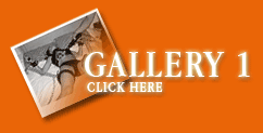 Gallery_1