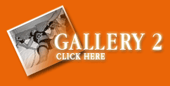 Gallery_2